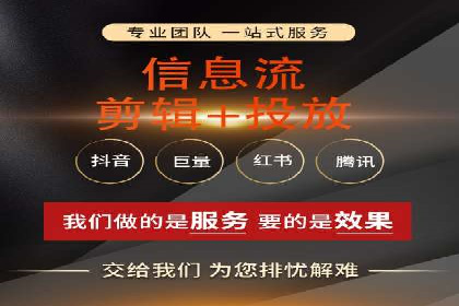 行业领先企业的SEM广告投放策略案例